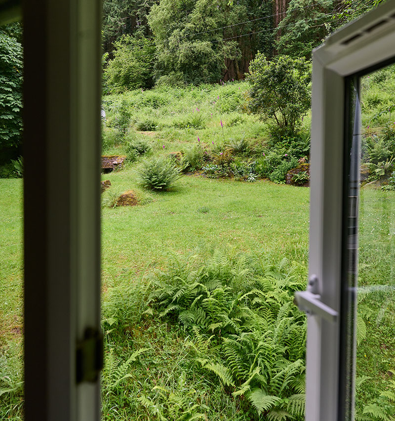 Orchard Room Window View