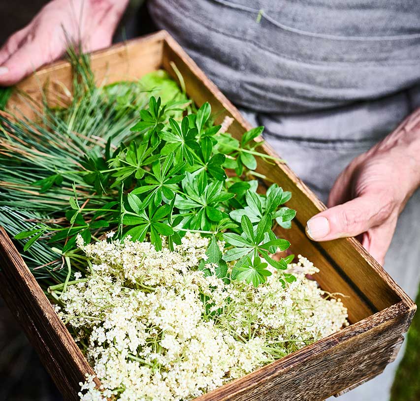 Selection of local sustainable ingredients